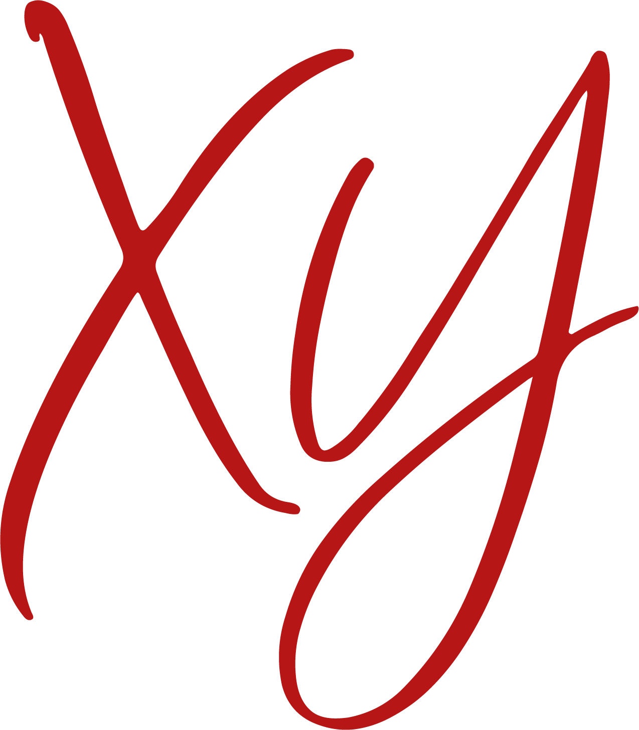XY Logo